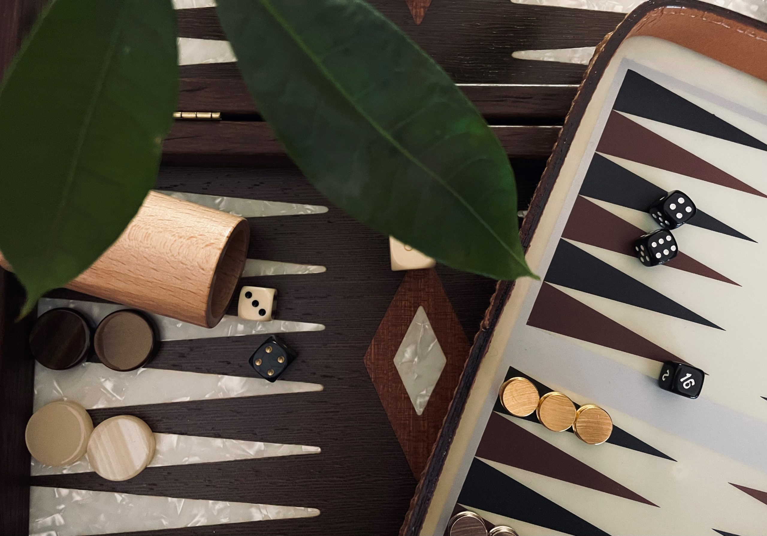 Comment bien choisir son backgammon ?